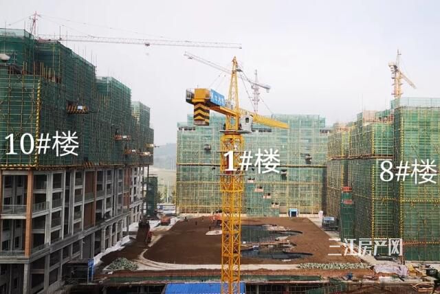 QQ截图20191008101914.jpg