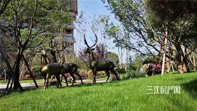 微信图片_20191009160155.jpg