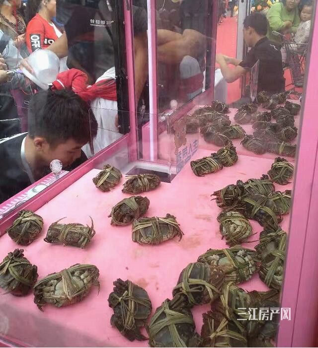 QQ截图20191020093331_副本.jpg