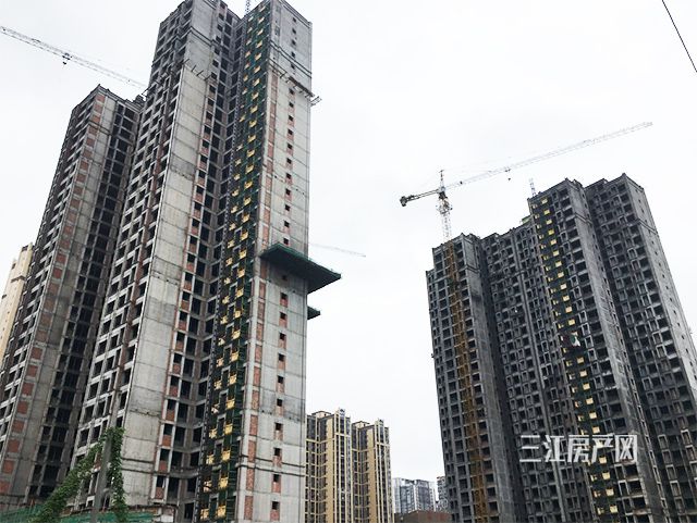 02.jpg