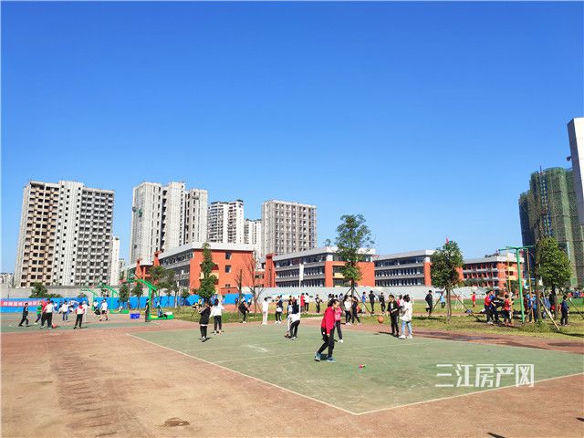 IMG_20191018_105700.jpg