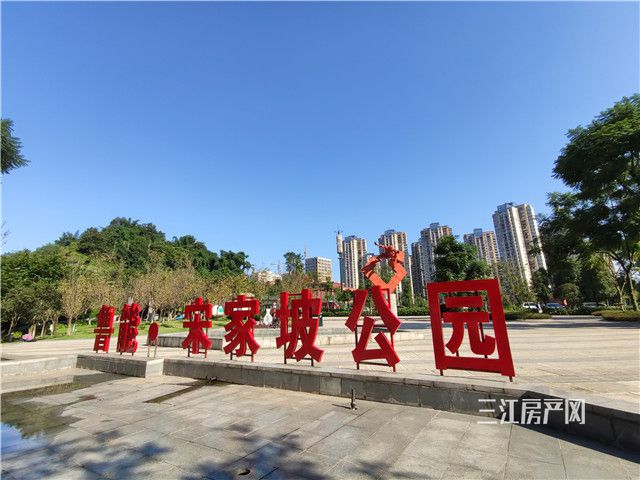 IMG_20191018_095850.jpg