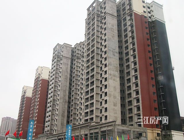 06.jpg