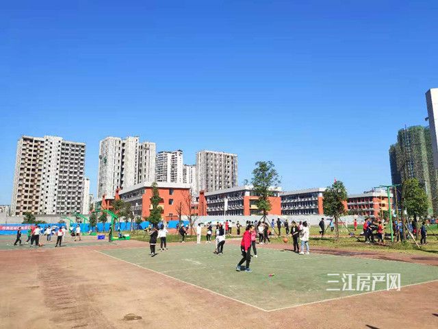 学校.jpg