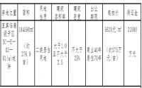 12月6日 宜宾临港公开拍卖约276.9亩二类居住用地