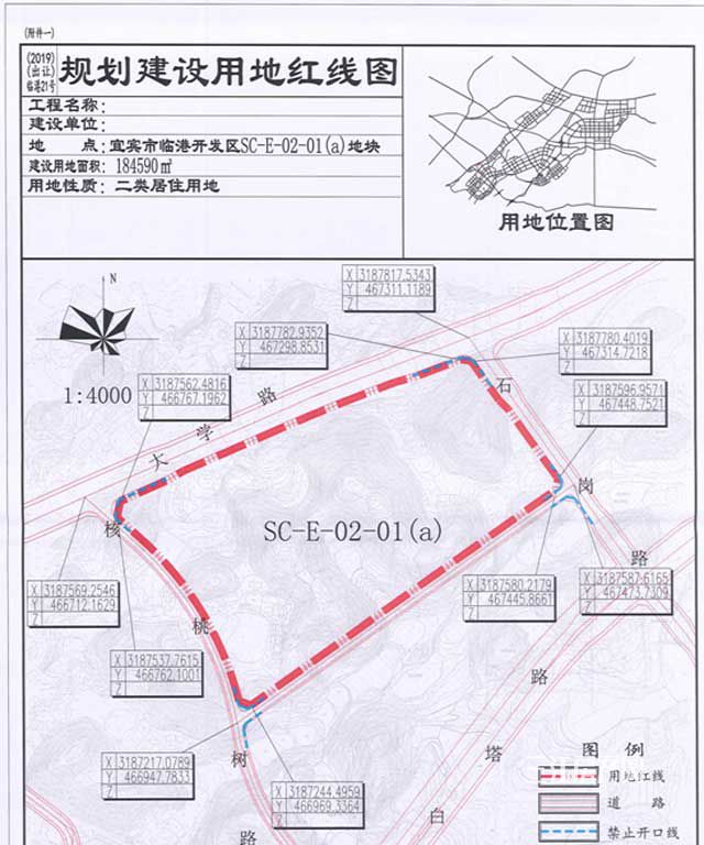 临港1.jpg