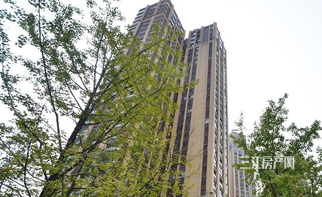 DSC_0063.jpg