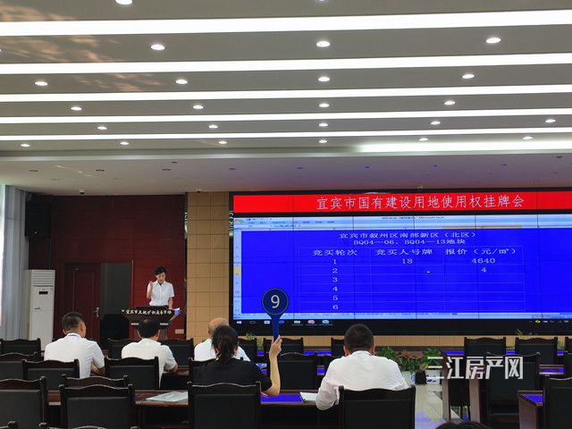 拍地.jpg