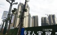 北新公馆11月工程进度 所有楼栋都“亮”出来了