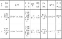 12月17日 珙县金河组团拍卖两宗居住用地