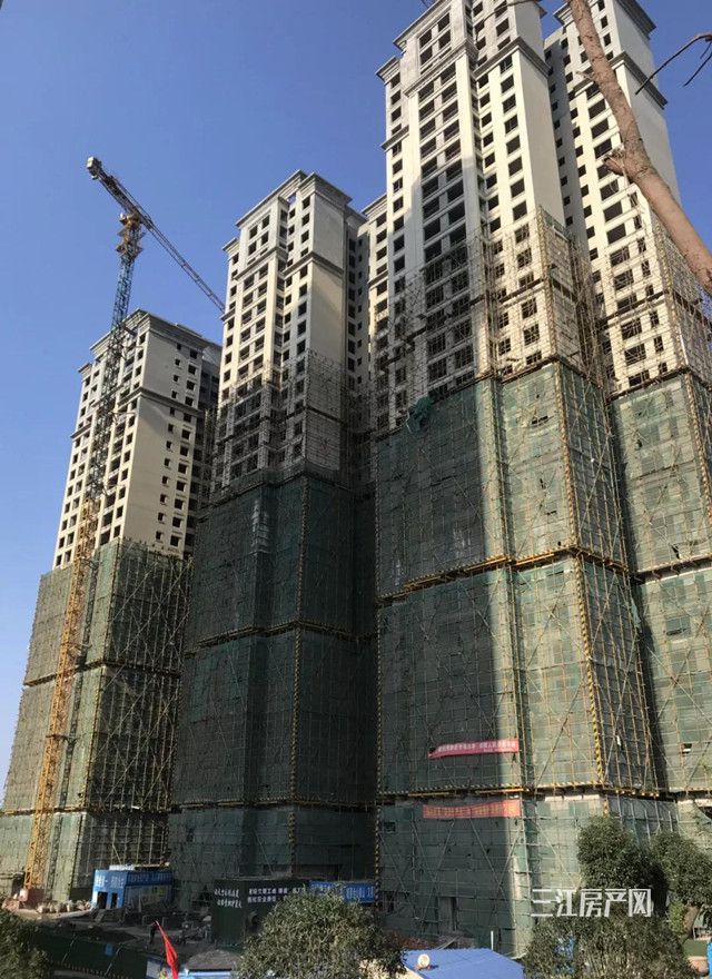 丽雅1.jpg