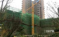 长江大院11月工程进度 部分中庭园林即将呈现