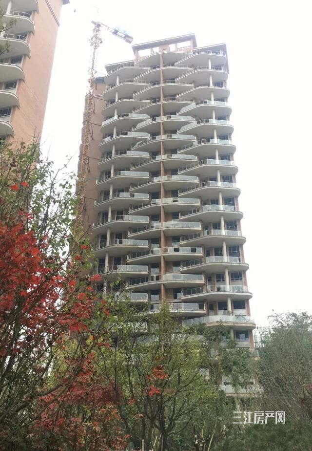 QQ截图20191205095512.jpg