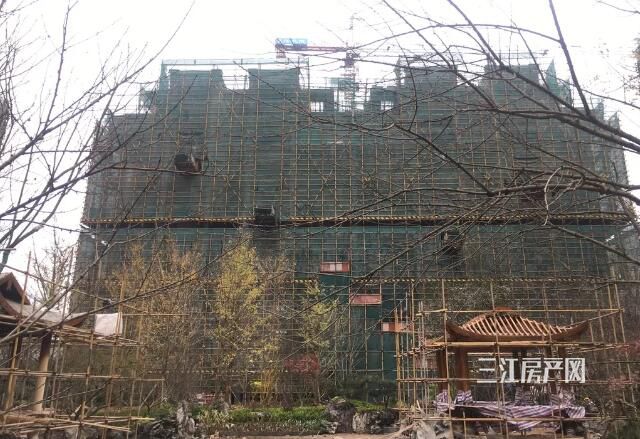 QQ截图20191205095534.jpg