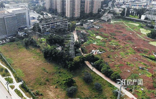 QQ截图20191209145651_副本.gif