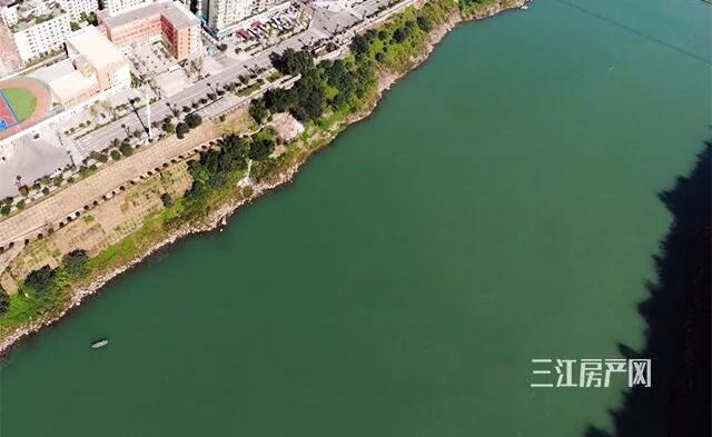 QQ截图20191218105901.jpg