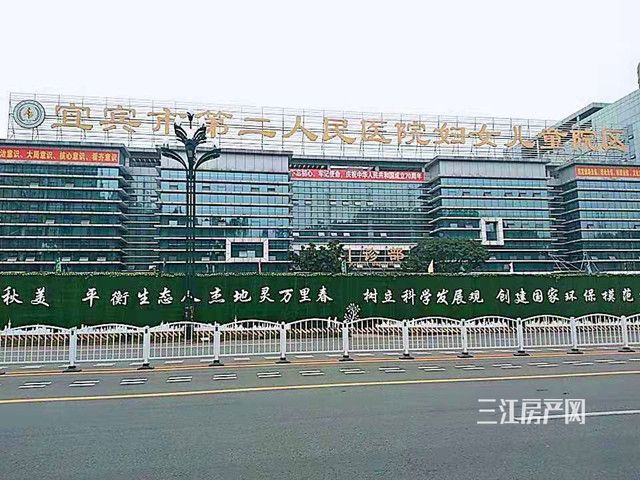 临港二医院.jpg