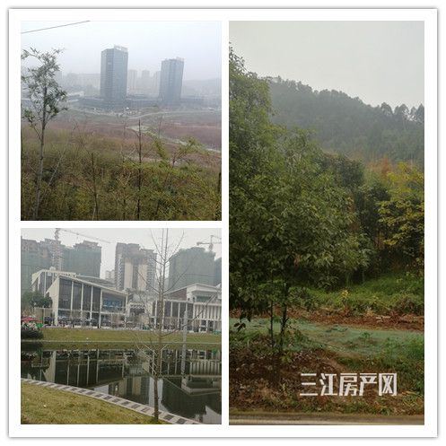 公园.jpg
