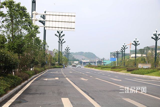 大学路1.jpg
