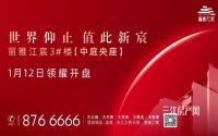 房源上新！丽雅江宸3#楼1月12日开盘