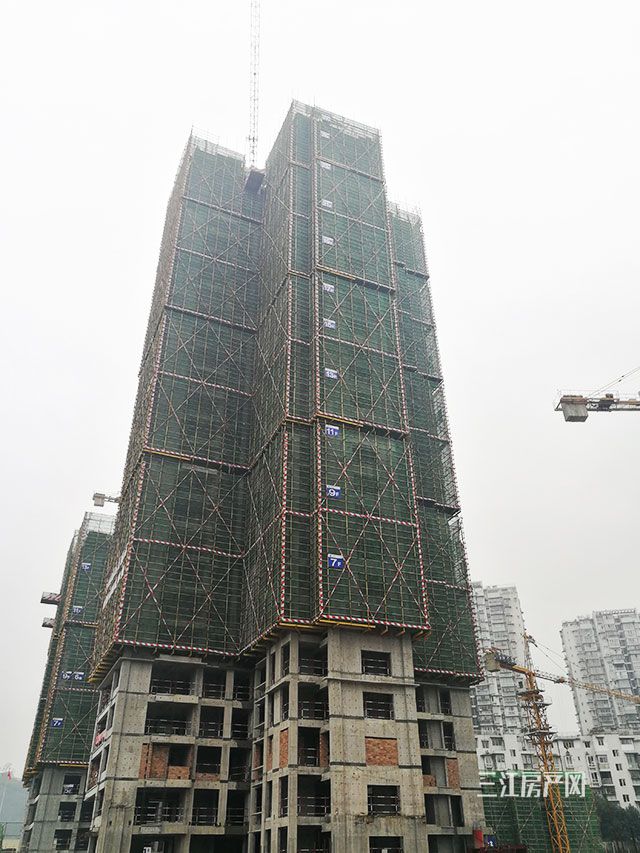 11#楼已封顶27层.jpg
