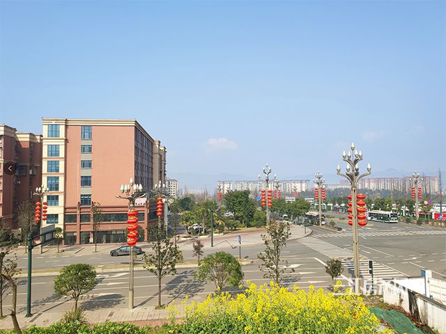 未标题-4.jpg