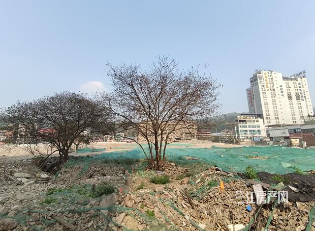 QQ截图20200307163146.jpg