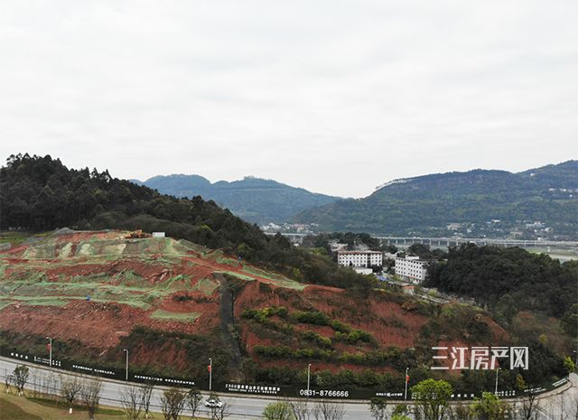 未标题-10.jpg