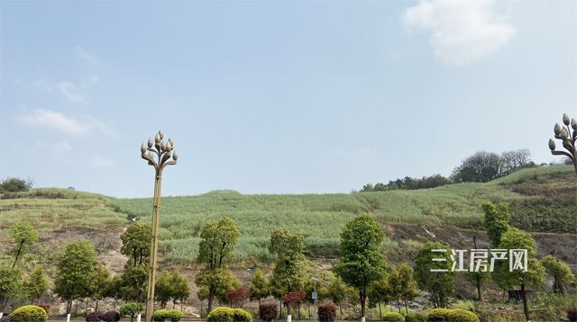 未标题-5.jpg