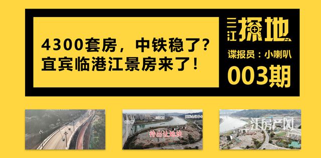 临港探地222.jpg