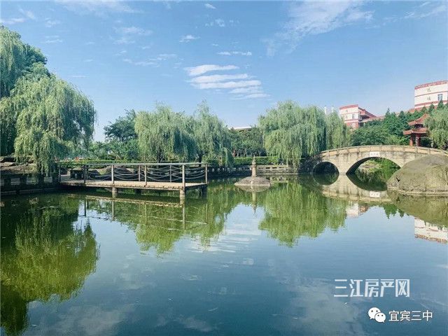 图片 1.jpg