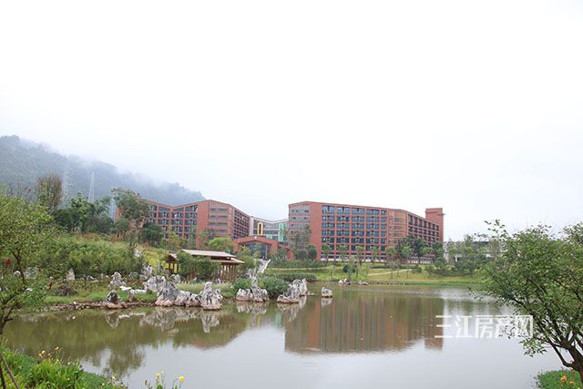 微信图片_20200428100137.jpg