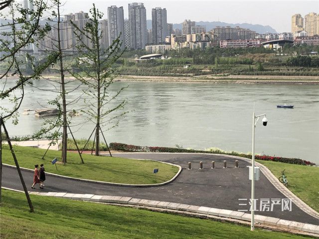 图片 1.jpg