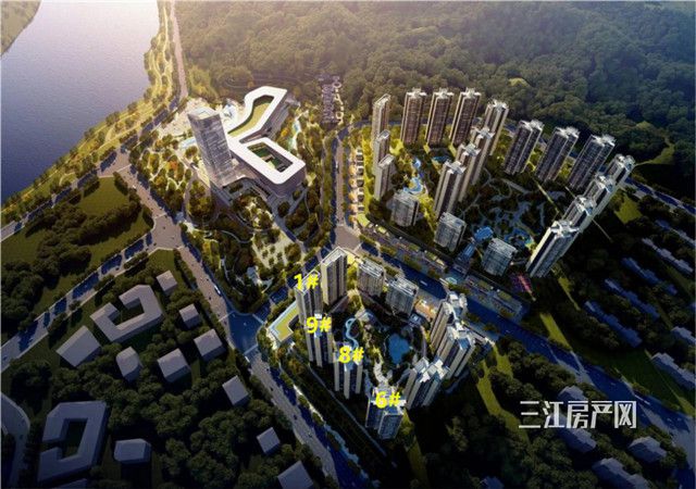 图片 4.jpg