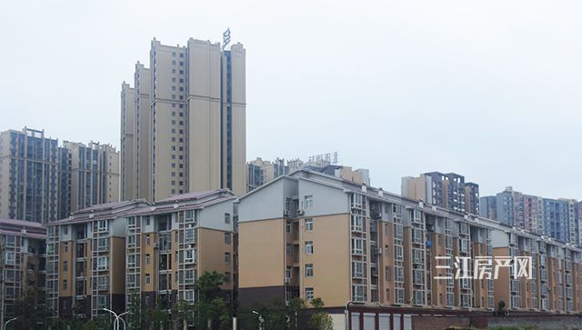 DSC_8959.jpg