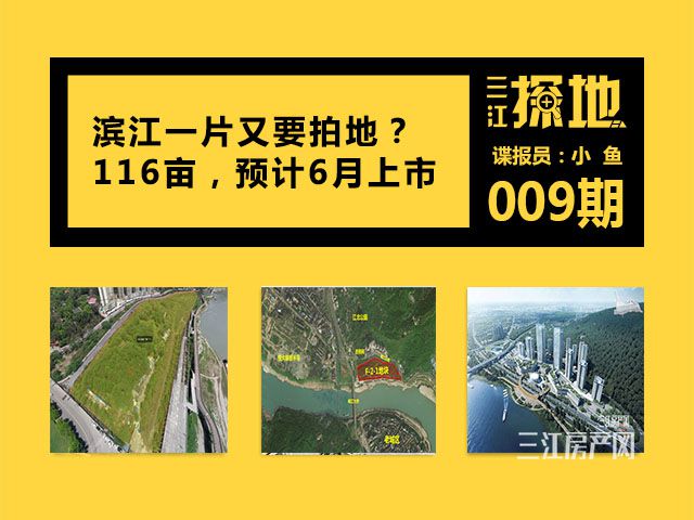 三江探地小鱼 (2).jpg