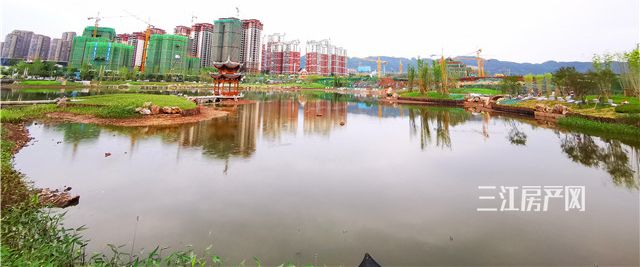 微信图片_20200618101124_看图王.jpg