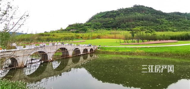 微信图片_20200618100928_看图王.jpg