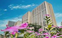 大气呈现，山水原著·公馆贰号盛大交房了