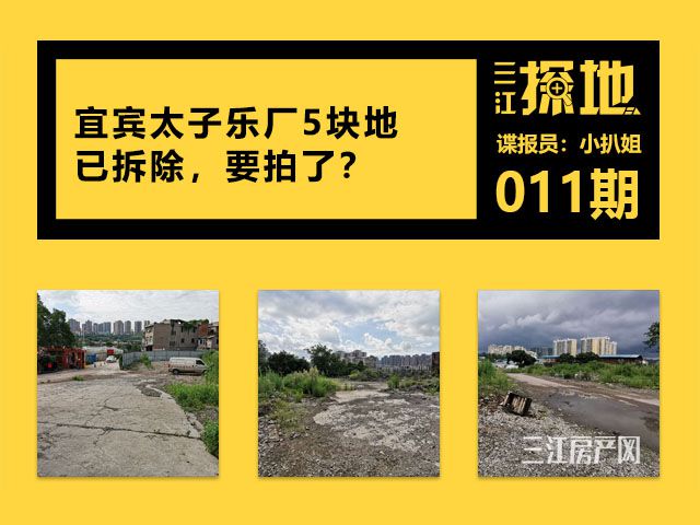 三江探地3.jpg