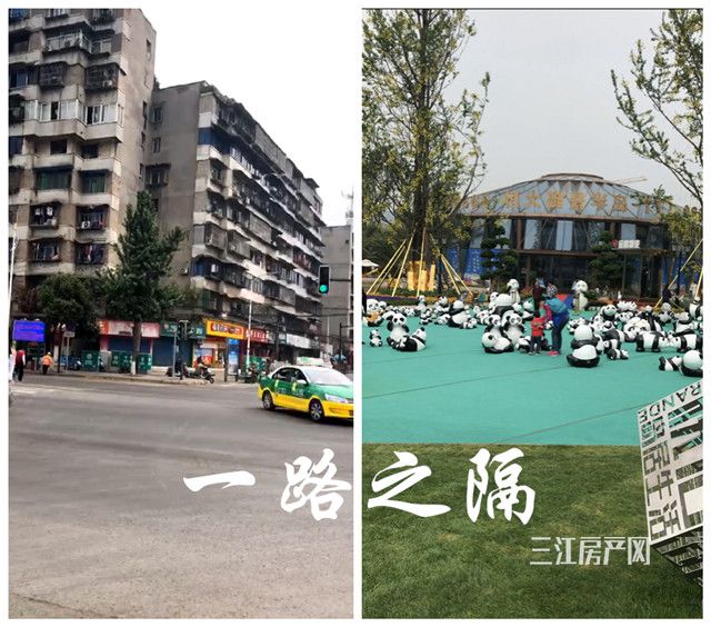 图片 3.jpg
