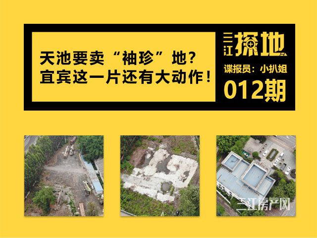 三江探地3.jpg