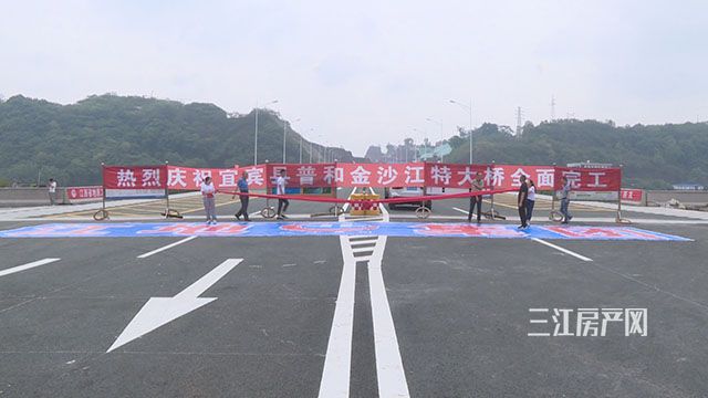 普和大桥完工仪式6.jpg