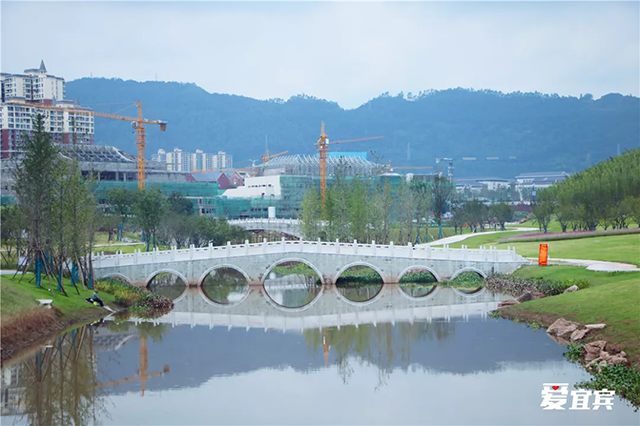 竹文化公园6.png