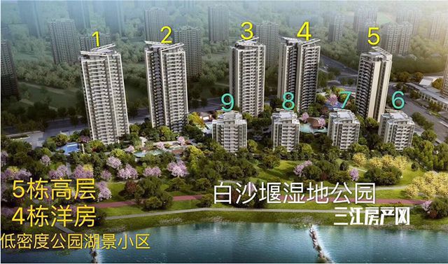 图片邦泰邦泰事实是.jpg