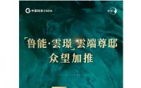 鲁能元宵喜乐会来袭！雲璟3#楼认筹盛启！