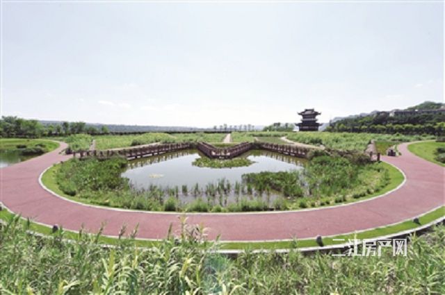 五粮液公园.jpg