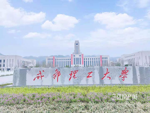 大学.jpg