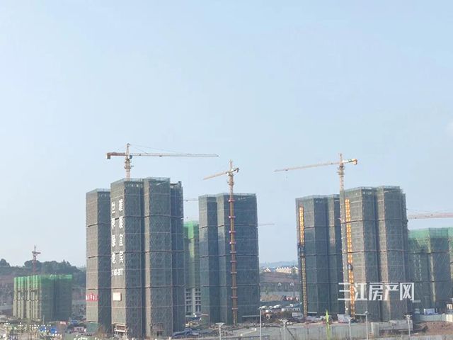 微信图片_20210301145535.jpg