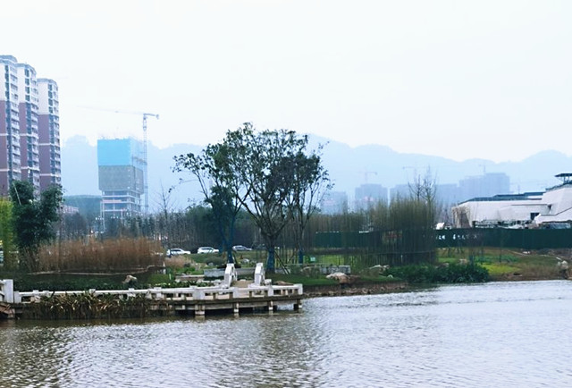 originc8ec6d72916525e129f16188b0ee673e_副本.jpg